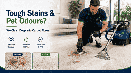 The Hidden Problem Inside Your Carpet