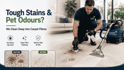 What Our Carpet Cleaning Services in Parramatta Include