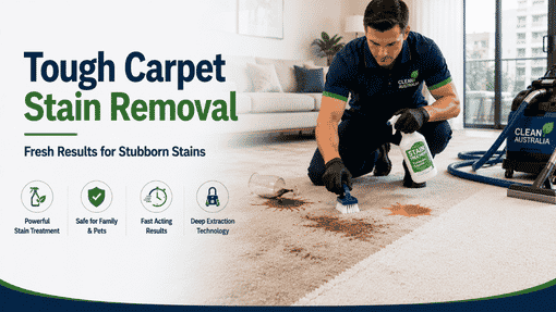 Why Choose Our Professional Carpet Cleaning Harris Park Homes Rely On