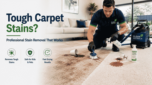 Why Expert Carpet Cleaners Merrylands Locals Prefer Beat DIY